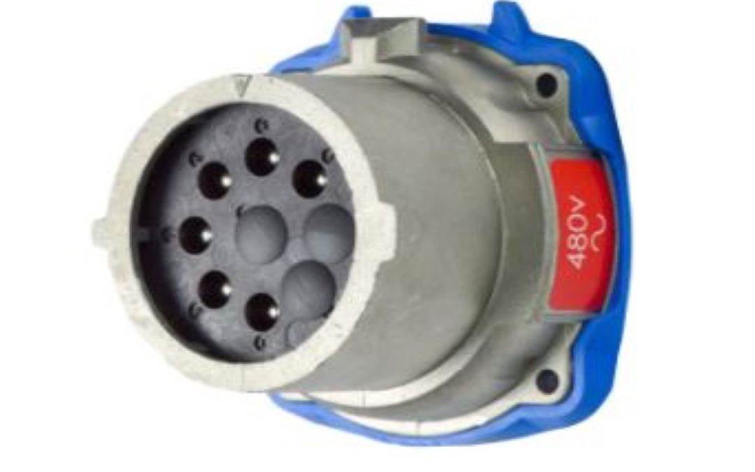17-18081