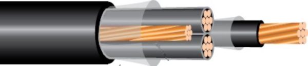 50204B