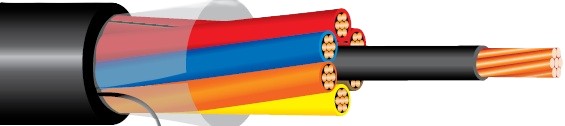 51025